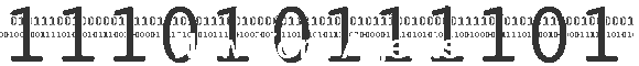 New York Agents