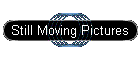 Still Moving Pictures