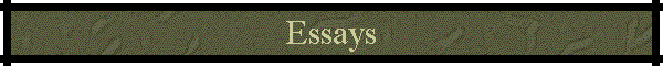 Essays