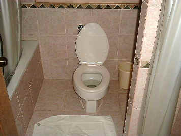 bog.JPG (28617 bytes)