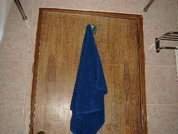 bog door.JPG (33508 bytes)