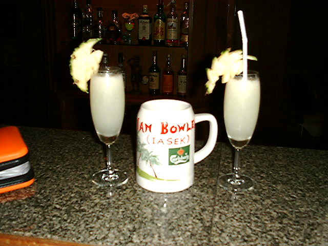 cocktail.JPG (74056 bytes)