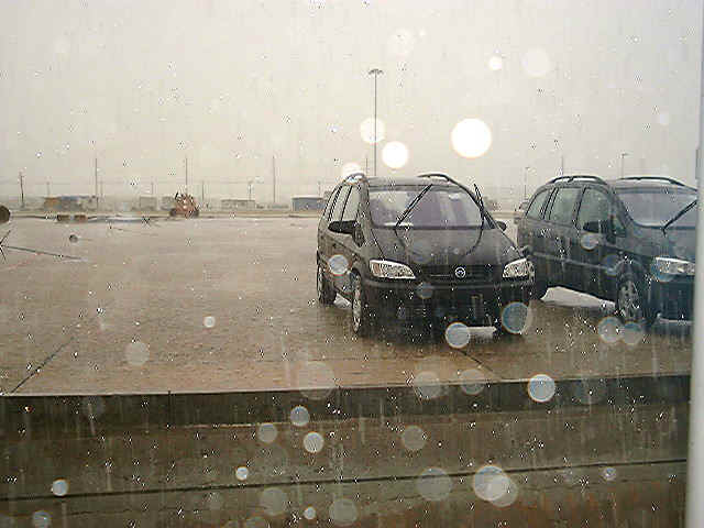 rain2.JPG (79191 bytes)