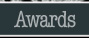 Click Here For The Awards Page