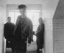 The CrxShadows
