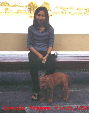 tmn3
