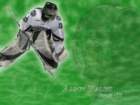 walskiwallpaper_small.jpg