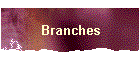 Branches