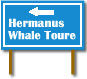 Link to Hermanus Whale Toure