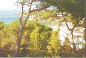 d04.jpg