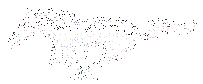 FADING PONY LOGO