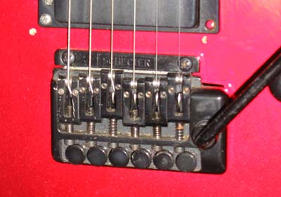 Schecter bridge