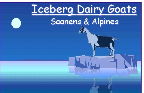 Iceberg