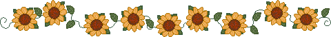 4.43kb