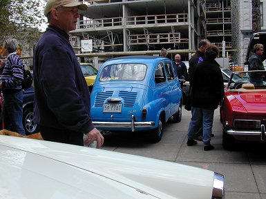 Stewart's Blue Multipla