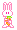 the bunni!