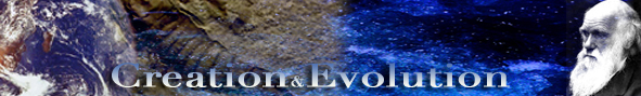 topbanner