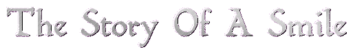 smilestory_hdr.gif