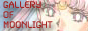 Moonlight Gallery