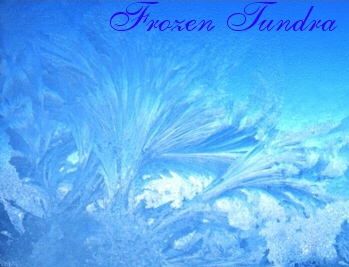 Frozen Tundra