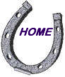 home button