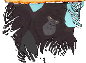 Kerchak