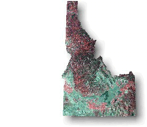 Composite of satellite images.