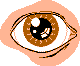 spy software download