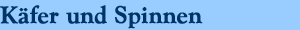 K&auml;fer und Spinnen