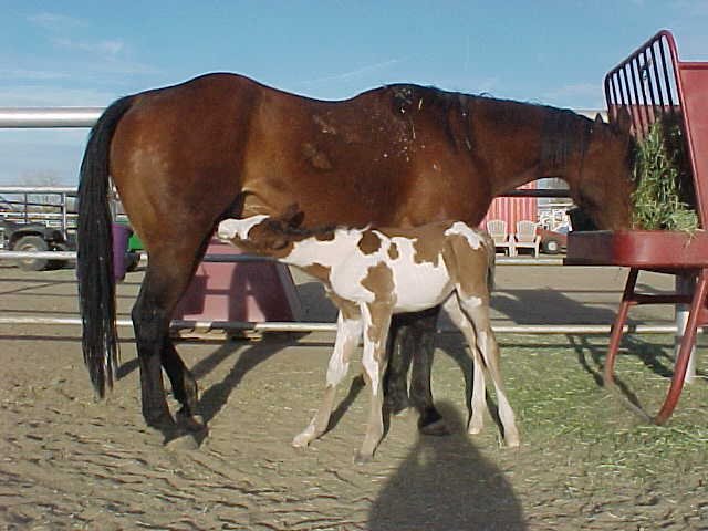 curvy3.jpg (60151 bytes)