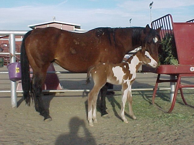 curvy4.jpg (62106 bytes)