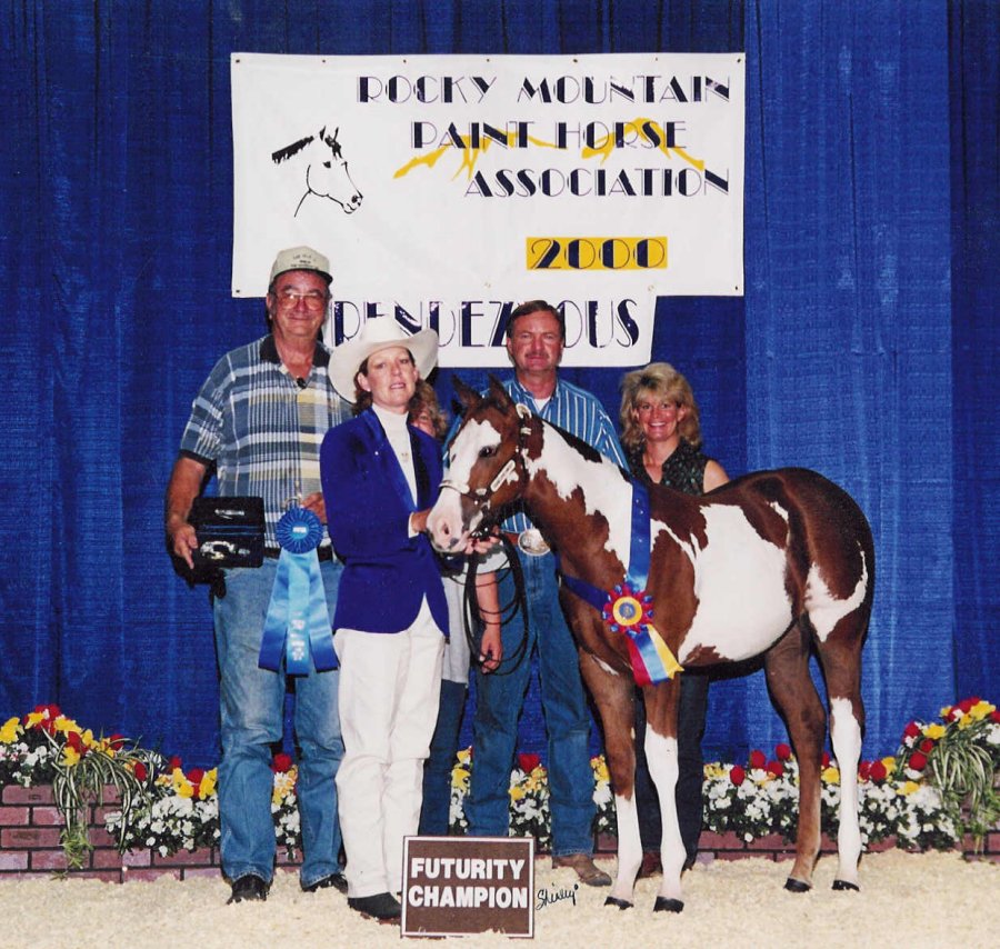 ibco.jpg (181737 bytes)