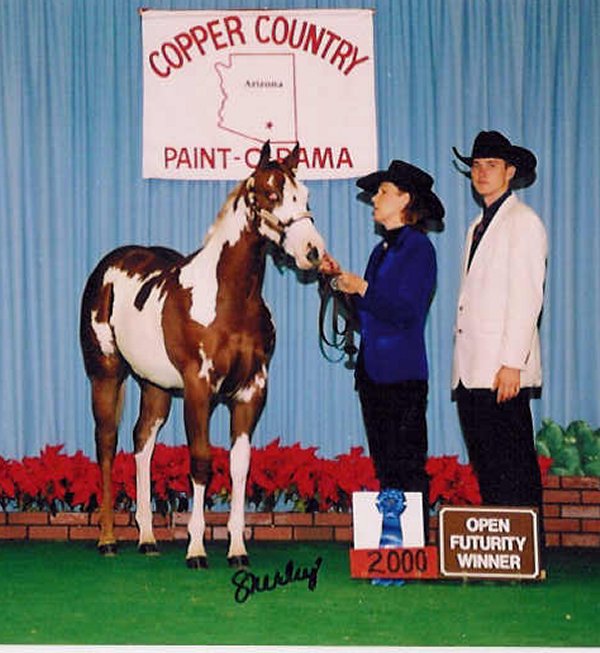 ibcopper.jpg (81344 bytes)