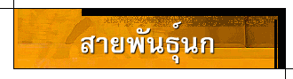 ¾ѹ칡