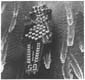 CVN-65 photo, 48K