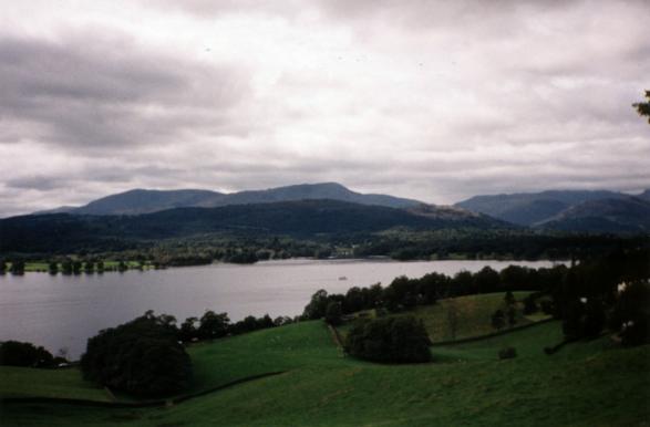 Looking at the lake