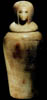 Vaso canpico