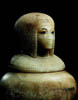 Vaso canpico
