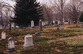 Looking Towards Lady In Glass from Prendergast Ave entrance
