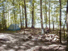 My campsite, (number 50).