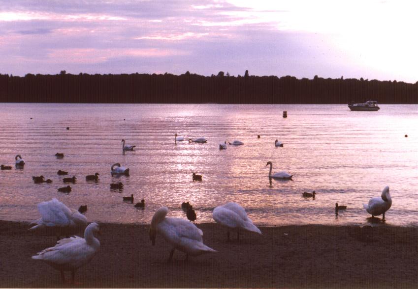 ����� ��� ��������� ���� �� Havel