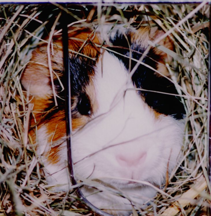   3 - 