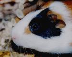  3 - 