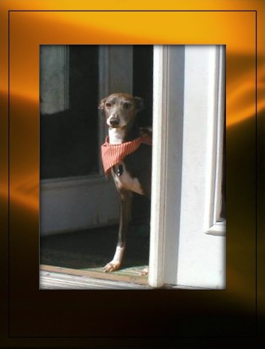 Debating, inside or outside?  Hmmmm, let's give it some thought . . .