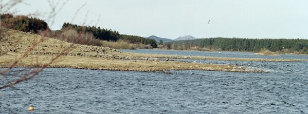 Frylandsvatnet
