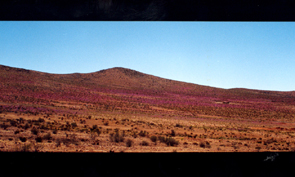 PANORAMA.JPG (56201 bytes)