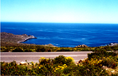 PANORAMA3.JPG (50259 bytes)