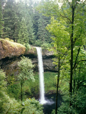 Silver Falls, OR