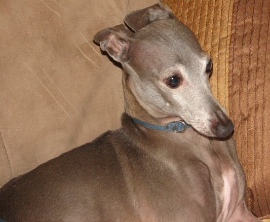 duncan1.jpg (50447 bytes)