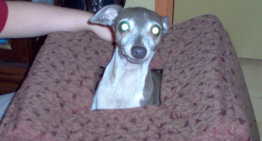 poquita2.jpg (127309 bytes)